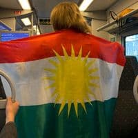 TikTok Account - mehrivan_0