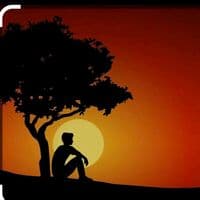 TikTok Account - fala0022