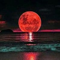 TikTok Account - trip_lux