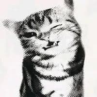 TikTok Account - ggnnnsk