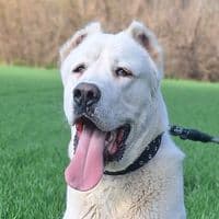 TikTok Account - roy_02.05.2023