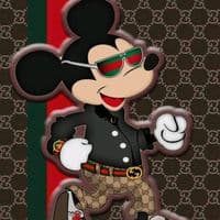 TikTok Account - lil.goodvibes010