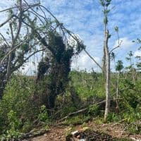 TikTok Account - mmh.347