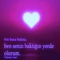 TikTok Account - asicesur04