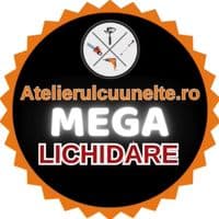 TikTok Account - atelierulcuunelte.ro