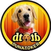 TikTok Account - dunatoker