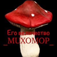 TikTok Account - _muxomop_