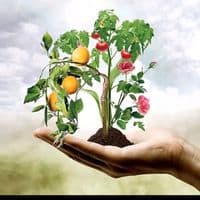 TikTok Creator - pakistannersryfarm01