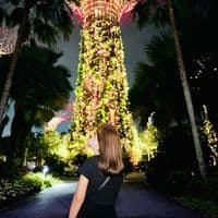 TikTok Account - jbt_mar