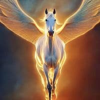 TikTok Account - hanni7720