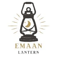 TikTok Account - emaanlantern