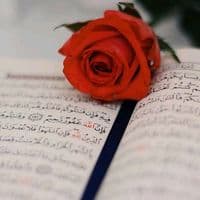 TikTok Account - has.sid0