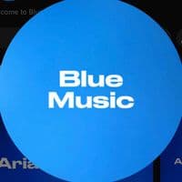 TikTok Account - bluemusicdm