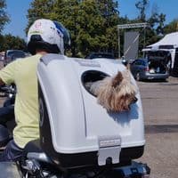 TikTok Account - andy777_nufo