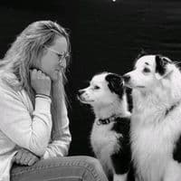 TikTok Account - virginy_mya29