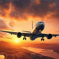 TikTok Account - blessedlab0