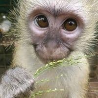 TikTok Account - eth3real_egghead98