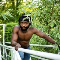 TikTok Account - thelyonblackofficiel