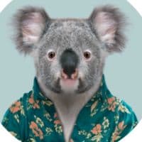 TikTok Account - fluffykoala18