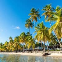 TikTok Account - lesantilles_97