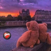 TikTok Account - muzica273