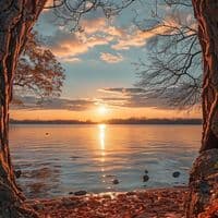 TikTok Account - prishamuzz