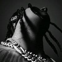 TikTok Account - editorsite