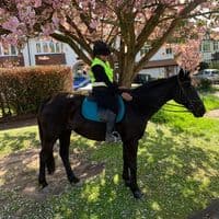 TikTok Account - jasminecrane_