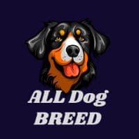 TikTok Account - alldogbreed