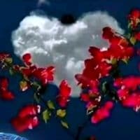 TikTok Account - ana.mariaa771