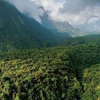 TikTok Account - solo_en_eg_