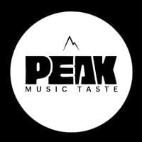 TikTok Account - peak_musictaste