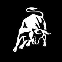 TikTok Account - lamborghini