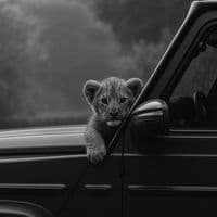 TikTok Account - lyricsxlushnjari