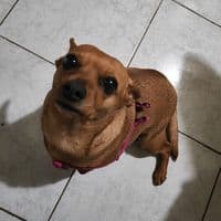 TikTok Account - gracip2024