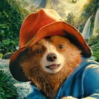 TikTok Account - paddingtonbear