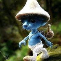 TikTok Account - cellyoust