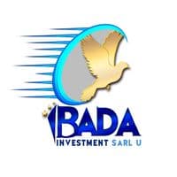 TikTok Account - badainvestment