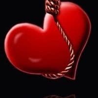 TikTok Account - pusik107