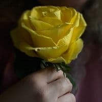 TikTok Account - 7.1.2023_