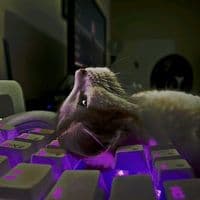 TikTok Account - realpranav_