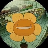 TikTok Account - teodk2200