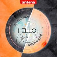 TikTok Account - hellochefantena1