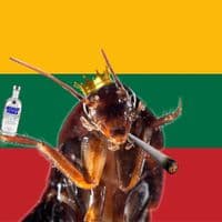 TikTok Account - tarakonai.valdo0