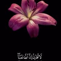 TikTok Account - lovelynatureee