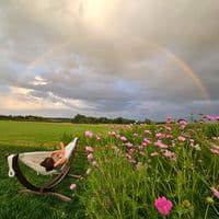 TikTok Account - relyninswitzerland