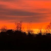 TikTok Account - jodie.editz