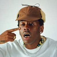 TikTok Account - lyrinada