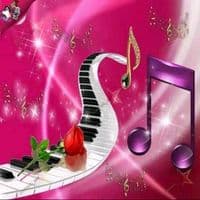 TikTok Account - r.t.7777