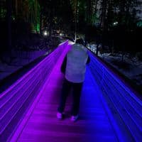 TikTok Account - menswork5